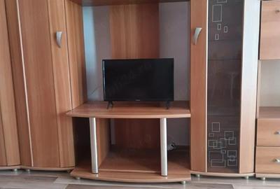 Garsonieră semidecomandată, mobilată în Brazda lui Novac