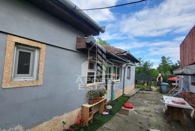 Casă individuală cu 3 camere cu Canalizare în Bogdăneștilor - 3