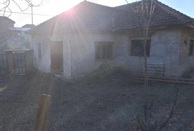 Casă cu 3 camere cu Teren 1400 Mp în Vintere - 3