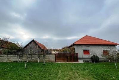 Casă cu 2 camere în Șanovița - 8