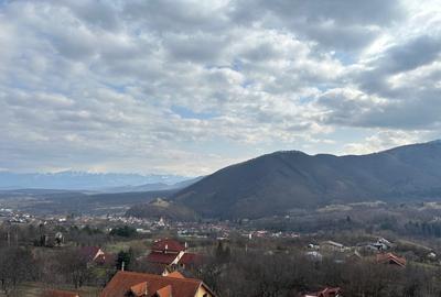 Teren Construcții intravilan de 2500 mp, în Cisnădioara - 5