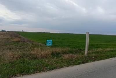 Teren agricol extravilan de 50000 mp, în Șag - 8