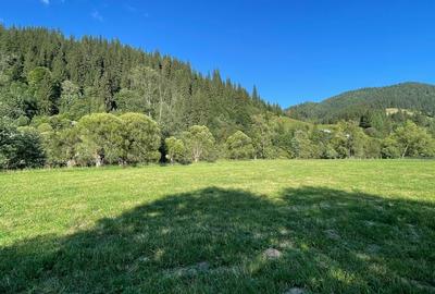 Teren Construcții intravilan de 5500 mp, în Ciocănești
