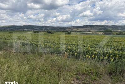 Teren de 11500 mp, în Bobota