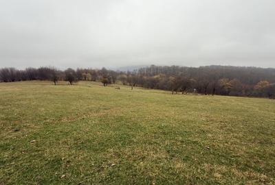 Teren agricol de 35000 mp, în Cisnădioara - 3