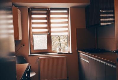 Apartament cu 2 camere decomandat, mobilat în Banat - 14
