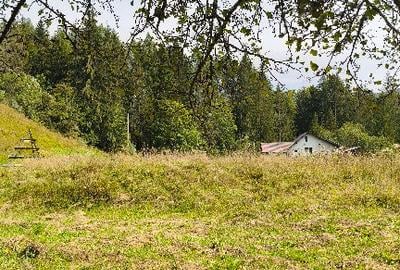 Teren de 4084 mp, în Valea Doftanei - 13