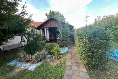 Casă cu 6 camere cu Teren 2000 Mp în Făget - 3