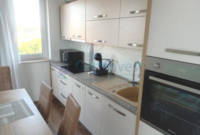 Apartament cu 2 camere decomandat, mobilat în Nufărul - 6