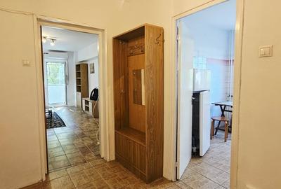 Apartament cu 2 camere decomandat, mobilat în Banu Manta - 4