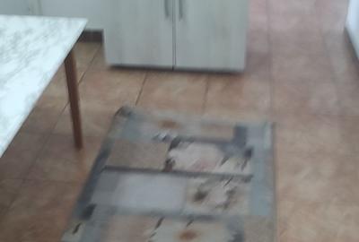 Apartament cu 3 camere decomandat în Traian - 1