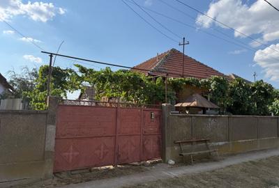 Casă cu 2 camere în Ianoșda