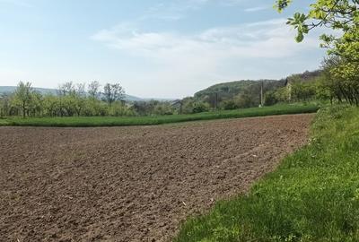 Teren în Micești - 2