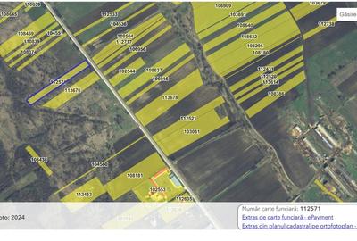 Teren agricol extravilan de 41850 mp, în Cavadinești - 3