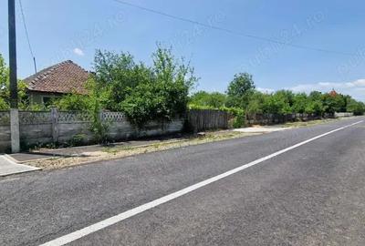 Casă cu 3 camere cu Teren 1853 Mp în Devesel - 10