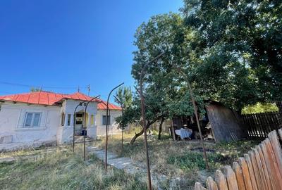 Casă cu 3 camere cu Teren 4200 Mp în Gliganu de Sus - 4