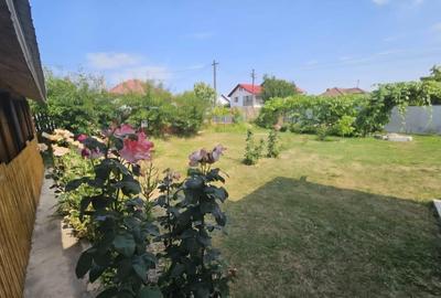 Casă cu 2 camere în Slătioarele - 5