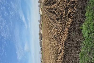 Teren de 3000 mp, în Chiscani - 2