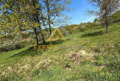 Teren de 1100 mp, în Tăuții-Măgherăuș - 3