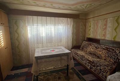 Casă cu 3 camere cu Teren 2672 Mp în Ineu - 17