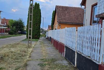 Casă individuală cu 3 camere cu Teren 2282 Mp în Borș - 9