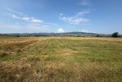 Teren Construcții intravilan de 780 mp, în Partoș