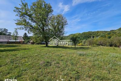 Teren de 10215 mp, în Vulcana-Băi - 4