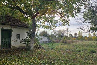 Teren Construcții intravilan de 4208 mp, în Șilindia - 11