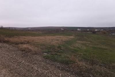 Teren agricol intravilan în Periferie - 5