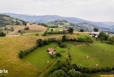 Teren de 10335 mp, în Poiana Mărului - 2