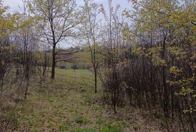 Teren de 3500 mp, în Orașul Vechi - 13