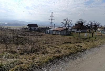 Teren de 967 mp, în Central
