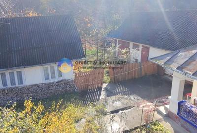 Casă individuală cu 3 camere cu Teren 5062 Mp în Târgu Neamț - 5