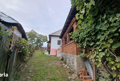 Casă cu 5 camere cu Teren 1500 Mp în Domnești - 3