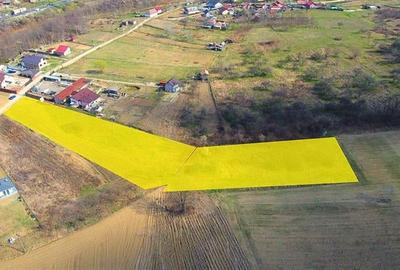 Teren Construcții intravilan de 5460 mp, în Budești - 11