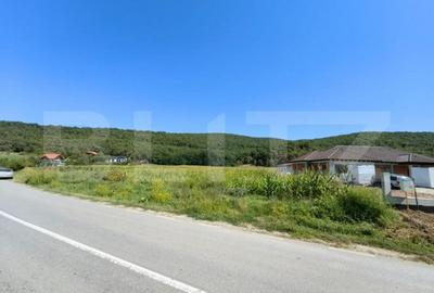 Teren de 4900 mp, în Hăpria - 6
