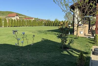 Casă cu 4 camere în Teleac - 3