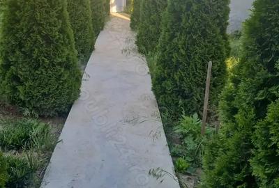 Casă cu 5 camere în Scorțaru Vechi - 4