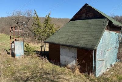 Casă cu 3 camere cu Teren 8000 Mp în Dumbrăvița - 5