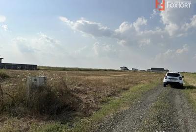 Teren de 820 mp, în Sânandrei