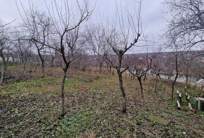 Casă cu Teren 1400 Mp în Central - 9