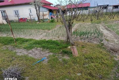 Casă cu 5 camere cu Teren 8481 Mp în Celaru - 5