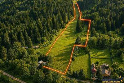 Teren de 7800 mp, în Lunca - 2
