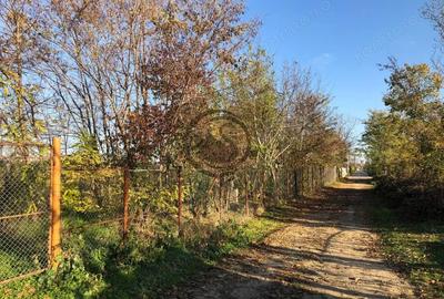 Teren de 12650 mp, în Ghirdoveni - 12