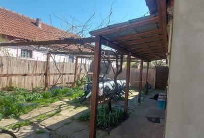 Casă cu 3 camere în Biharia - 2