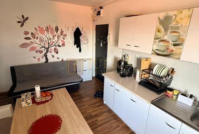 Apartament cu 2 camere decomandat, mobilat în Lipovei - 12