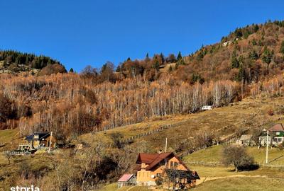 Teren de 20000 mp, în Moieciu - 16
