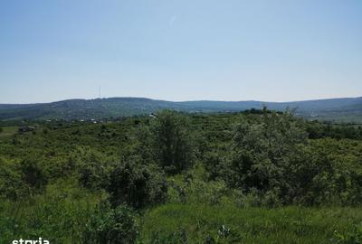 Teren de 350 mp, în Bârnova