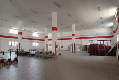 Spațiu comercial, de 15,000 mp, în Huși - 5