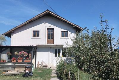 Casă cu 2 camere cu Teren 1000 Mp în Central